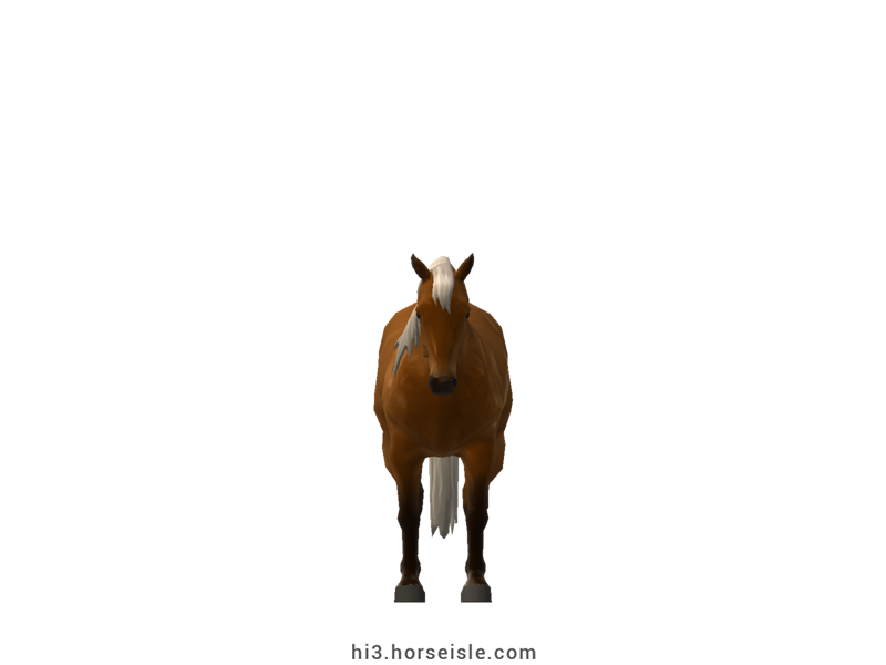 Foundation Quarter Horse Chocolate Brown Silver Coat (front view)